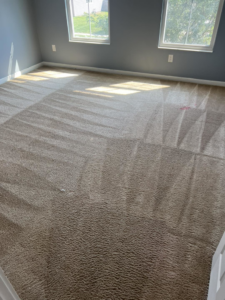 A room with freshly cleaned carpet showing distinct cleaning lines, a result of services by HutchPro Carpet Cleaning Plus in Indianapolis, IN.