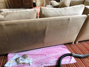 A freshly cleaned carpet with visible cleaning lines, showcasing the work of Sparky Carpet Cleaning in Baton Rouge, LA.