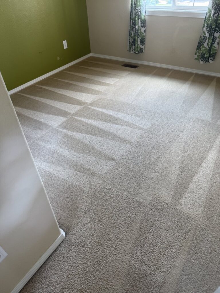 A freshly cleaned carpet with distinct cleaning lines, showcasing the results from Believe That Carpets & Upholstery Cleaning in Colorado Springs, CO.
