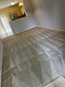 A freshly cleaned carpet showcasing distinct cleaning lines after a professional service by Iclean Indy in Indianapolis, IN.