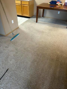 A freshly cleaned carpet with a carpet groomer visible, after service by Red River Carpet Cleaning of Fargo Moorhead, MN