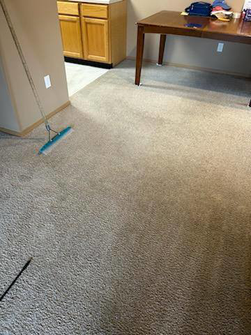A freshly cleaned carpet with a carpet groomer visible, after service by Red River Carpet Cleaning of Fargo Moorhead, MN