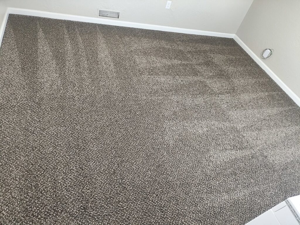 A freshly cleaned residential carpet showing distinct cleaning lines by A Plus Carpet Cleaning in Lawton, OK.