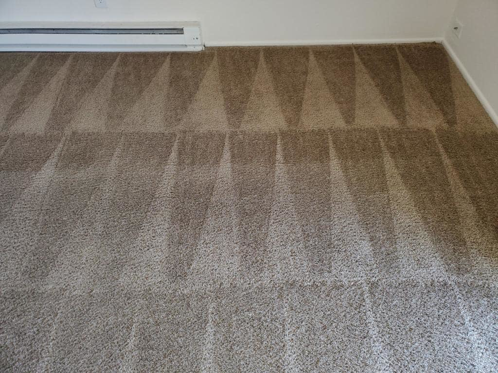 A freshly cleaned brown carpet with distinct cleaning lines, showcasing work by Achilles Carpet Cleaning in Vancouver, WA.
