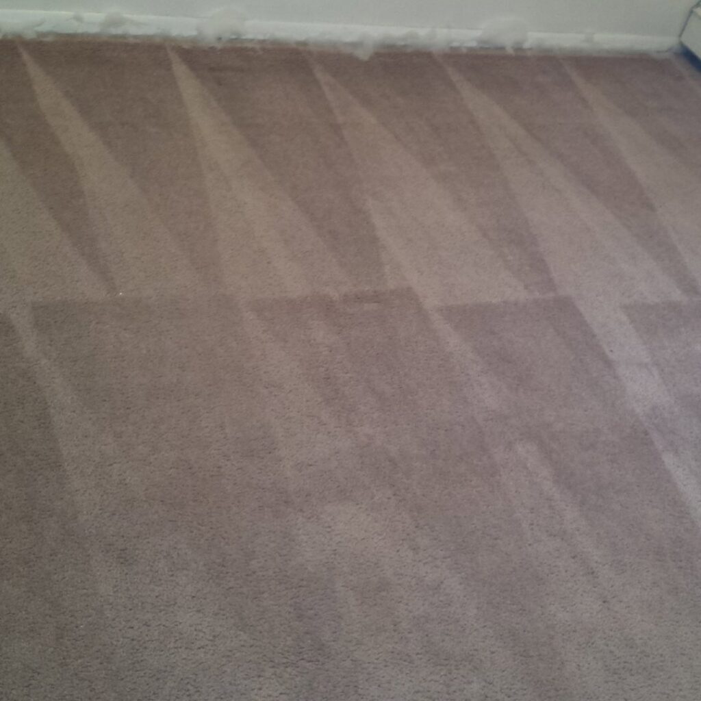 Close-up of freshly cleaned carpet showing distinct cleaning lines by Eco-Cleaning Services in Portland, OR.
