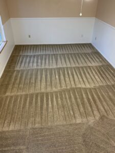 A freshly cleaned carpet showing distinct cleaning lines by GreenLine Carpet Cleaning in Aurora, CO.