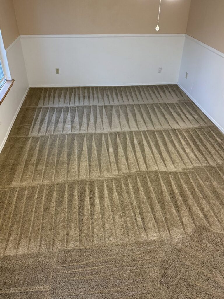 A freshly cleaned carpet showing distinct cleaning lines by GreenLine Carpet Cleaning in Aurora, CO.