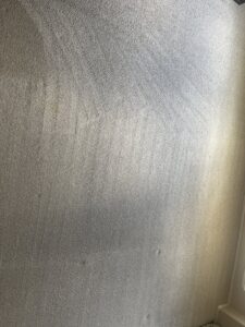 A freshly steam-cleaned carpet showing distinct cleaning lines, a hallmark of Master's Touch Steam Cleaning in San Antonio, TX.