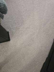 A freshly cleaned carpet showing clear professional cleaning lines by PRIME CLEAN VA in Virginia Beach, VA.
