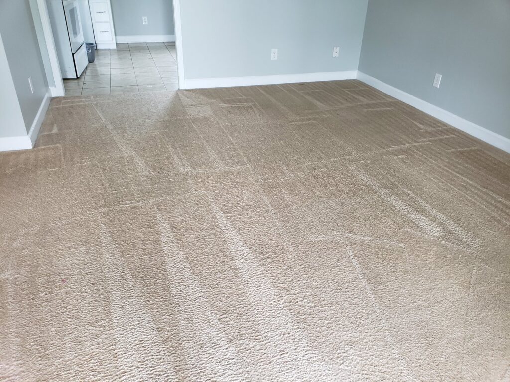 A freshly cleaned carpet with visible cleaning lines, demonstrating the work of Pure Steam Carpet Cleaning in Nashville, TN