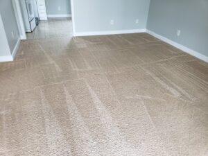 A freshly cleaned carpet with visible cleaning lines, demonstrating the work of Pure Steam Carpet Cleaning in Nashville, TN