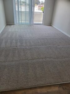 A freshly cleaned carpet with distinct cleaning lines by Ramirez Carpet Cleaning in Sacramento, CA