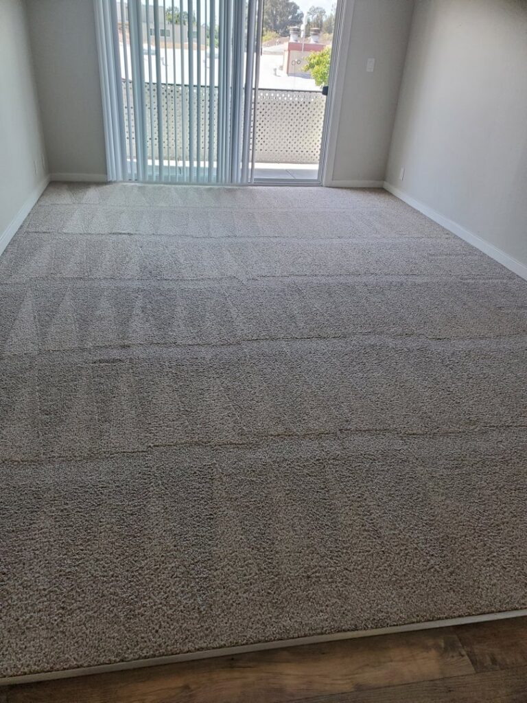 A freshly cleaned carpet with distinct cleaning lines by Ramirez Carpet Cleaning in Sacramento, CA