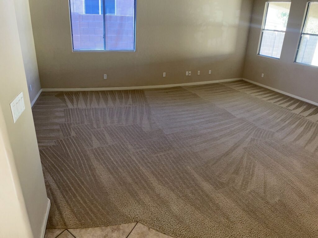 A large room with freshly cleaned carpet showing distinct cleaning lines by Specialty Carpet Care in Surprise, AZ