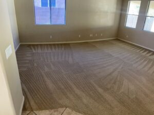 A large room with freshly cleaned carpet showing distinct cleaning lines by Specialty Carpet Care in Surprise, AZ