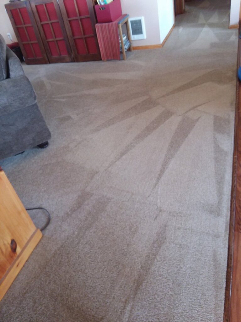 Freshly cleaned carpet showing distinct cleaning patterns by JR Professional Carpet Cleaning Business LLC in Spokane, WA.