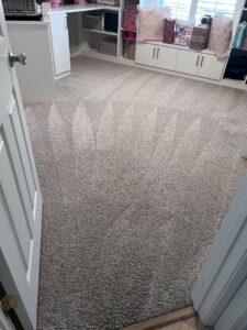 Freshly cleaned carpet with distinct cleaning patterns by Superior Clean Carpet and Upholstery Care in Jacksonville, FL