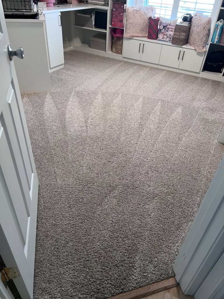 Freshly cleaned carpet with distinct cleaning patterns by Superior Clean Carpet and Upholstery Care in Jacksonville, FL