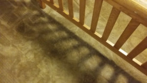 A freshly cleaned carpet showing cleaning marks, with shadows from a wooden railing, by Oahu Carpet Cleaning Co. in Honolulu, HI.