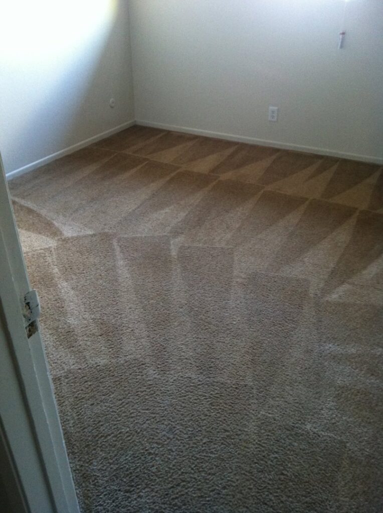 A freshly steam-cleaned carpet showing distinct cleaning lines, a result of Superior Carpet Care's service in Fresno, CA.