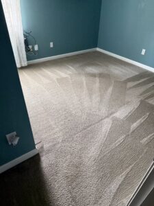 A freshly cleaned carpet showing professional cleaning streaks by Great Day Carpet & Tile Cleaning LLC Desoto in Olive Branch, MS.