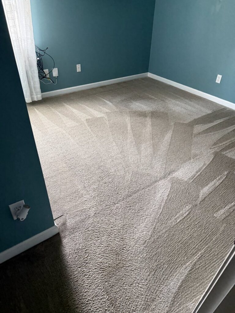 A freshly cleaned carpet showing professional cleaning streaks by Great Day Carpet & Tile Cleaning LLC Desoto in Olive Branch, MS.
