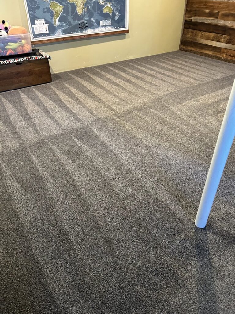 A freshly cleaned carpet with distinct vacuum lines, showcasing the quality work of 303 Carpet Cleaning in Lakewood, CO