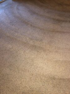 A freshly cleaned carpet with distinct vacuum lines, showcasing the quality work of KB Cleaning Services, Inc. in Atlanta, GA.
