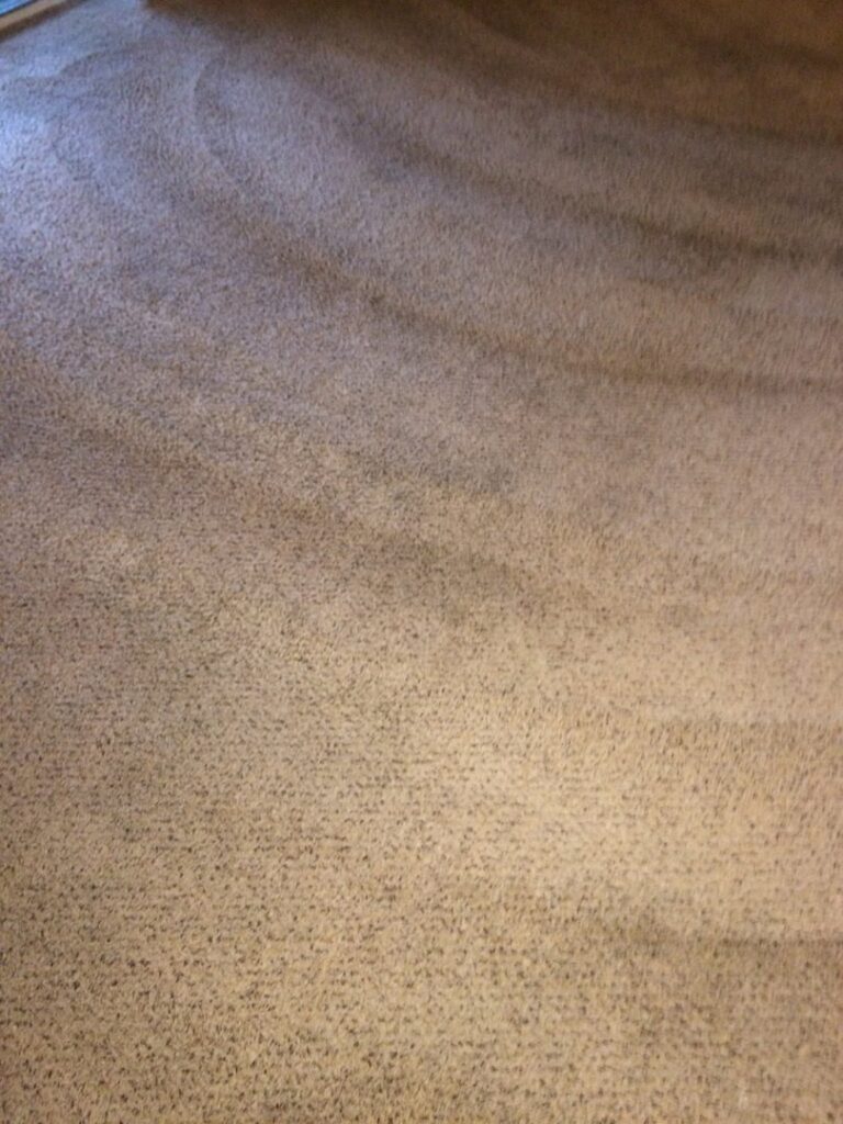 A freshly cleaned carpet with distinct vacuum lines, showcasing the quality work of KB Cleaning Services, Inc. in Atlanta, GA.