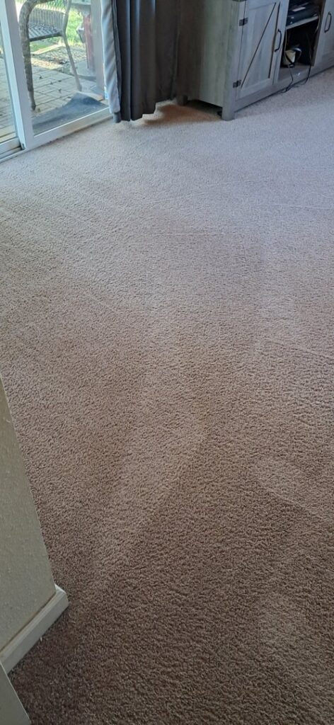 Freshly cleaned carpet with visible vacuum lines, showcasing a completed job by North County Carpet Cleaning in Vancouver, WA