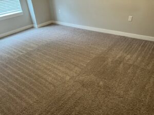 A freshly cleaned carpet with visible vacuum lines, showcasing work by Sam I Am Carpet Cleaning in Rossville, IN