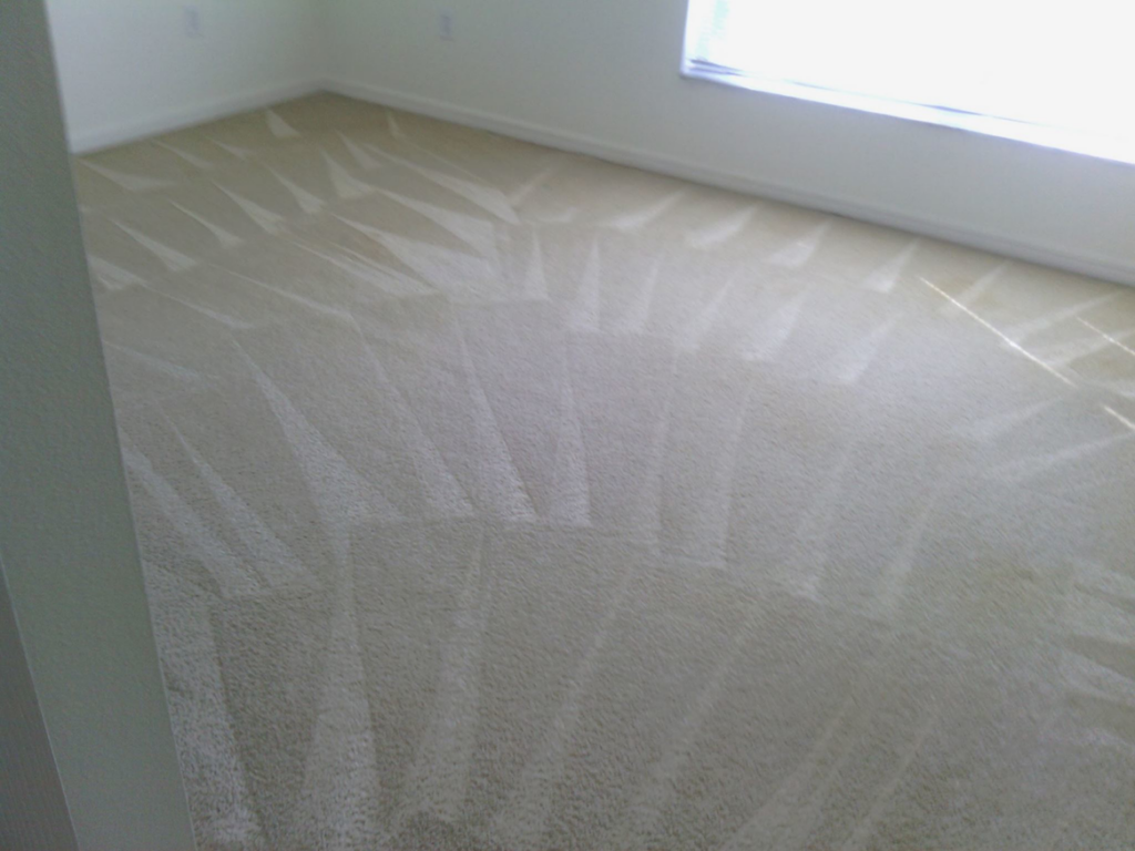 A freshly cleaned carpet with visible vacuum lines in a room by Service First Cleaning TAMPA in Tampa, FL.