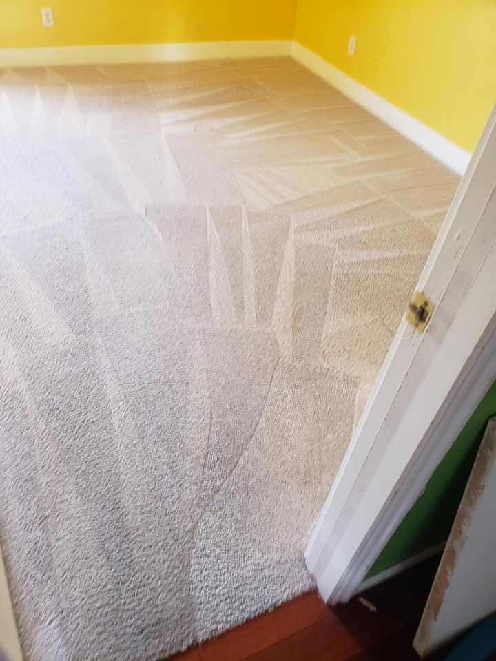 A freshly cleaned carpet displaying clear vacuum lines after a service by Vibro-Steam of Utah in Ogden, UT.