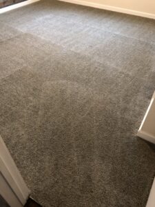 A freshly cleaned carpet with visible cleaning lines by Xtreme Klene Carpet & Upholstery Cleaning in Montgomery, AL.