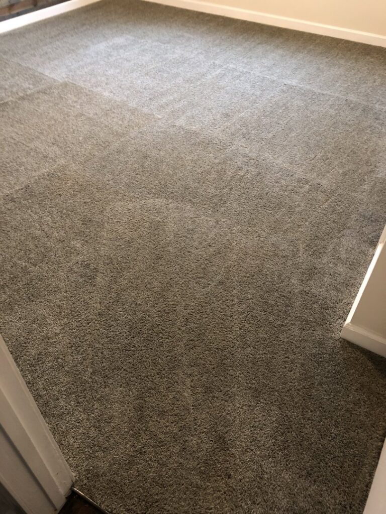A freshly cleaned carpet with visible cleaning lines by Xtreme Klene Carpet & Upholstery Cleaning in Montgomery, AL.