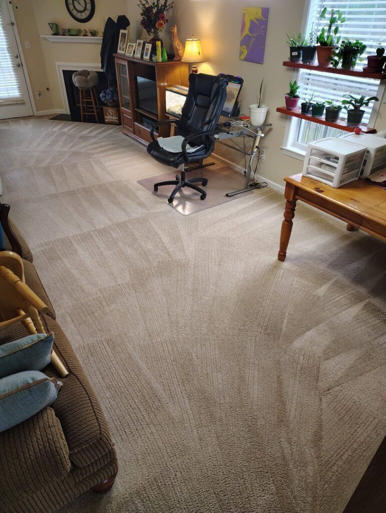 A freshly cleaned carpeted living room with distinct cleaning patterns by D&D Carpet Cleaning & Janitorial in West Columbia, SC