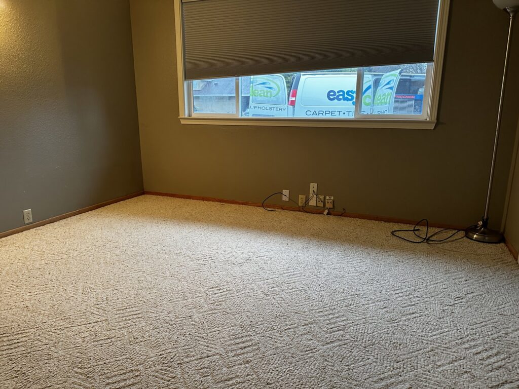 A freshly cleaned, empty carpeted room after service by Easy Clean Carpet Care in Citrus Heights, CA