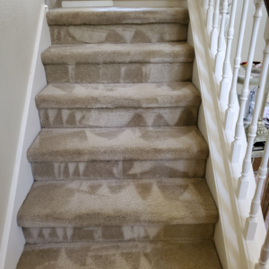 Freshly cleaned carpeted stairs showing distinct cleaning lines by Genie Clean Services LLC in Dallas, TX.
