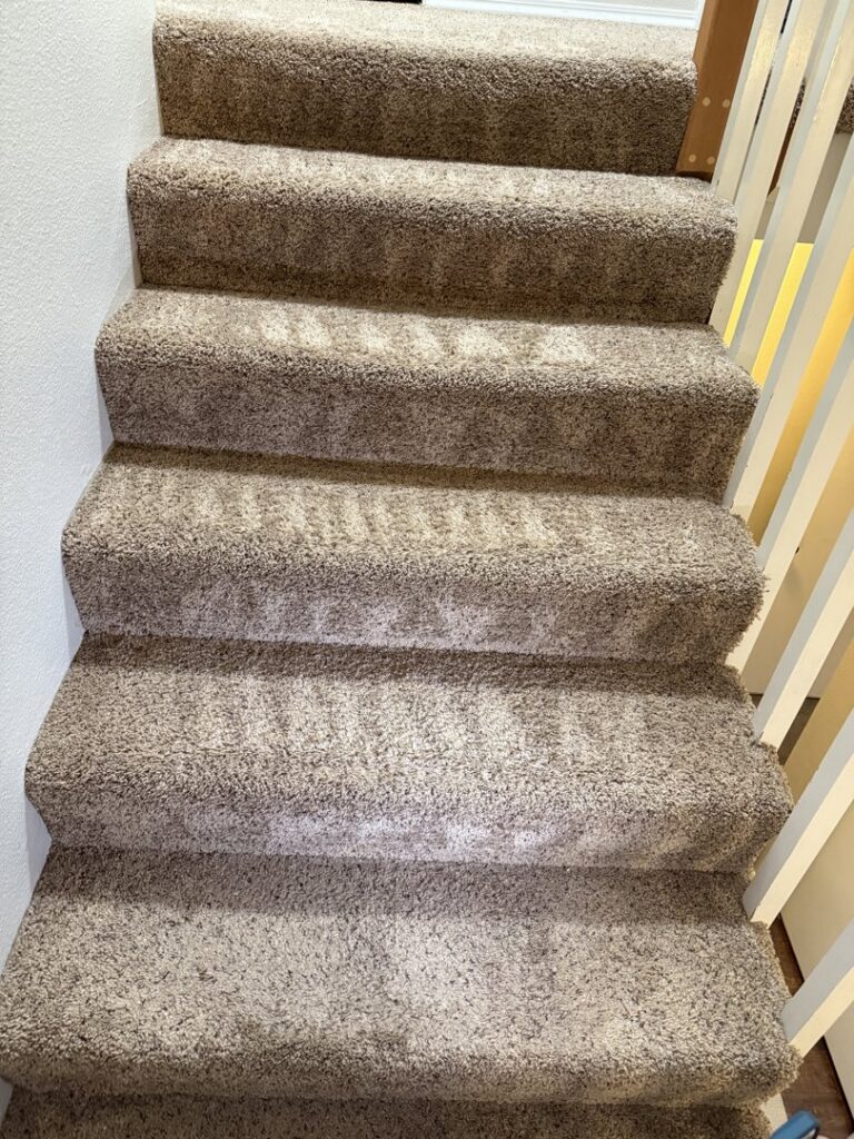 Freshly cleaned carpeted stairs, showcasing the results of professional carpet cleaning by Heroic Carpet Cleaning Oregon in Beaverton, OR