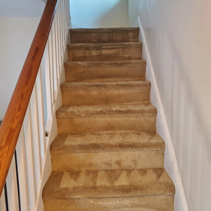 Freshly cleaned carpeted stairs with visible cleaning lines, showcasing work by Kingdom Kleen in Portsmouth, VA.