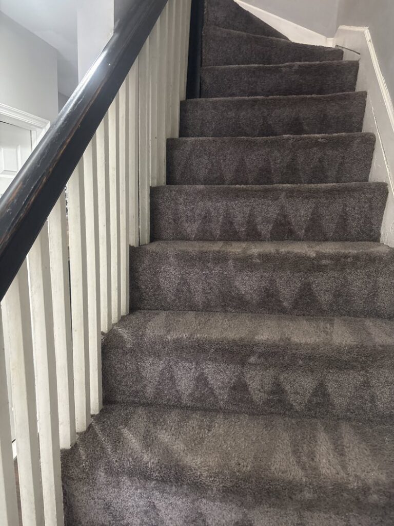 Freshly cleaned carpeted stairs showing distinct cleaning lines by USA Clean Master in Baltimore, MD