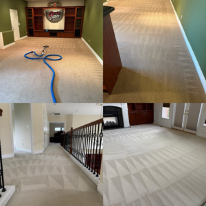 Freshly cleaned carpets in multiple rooms showing cleaning patterns by Alex & Mary Carpet & Upholstery Cleaning in Tacoma, WA.