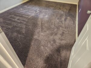 A room with a freshly cleaned dark grey carpet, showing vacuum lines from the professional service by All Seasons Carpet Cleaning in Loves Park, IL.