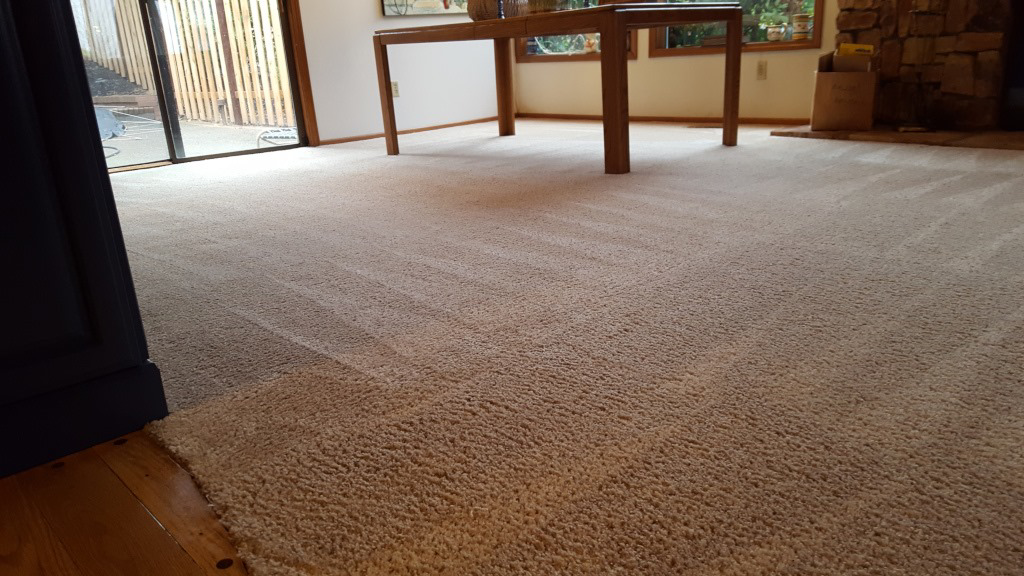 A freshly cleaned dining room carpet with visible vacuum lines by Howells Carpet Cleaning in Milwaukie, OR.