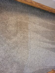 A freshly cleaned gray carpet with distinct cleaning lines by Mr. Suds Carpet Cleaning LLC in Coeur d'Alene, ID.