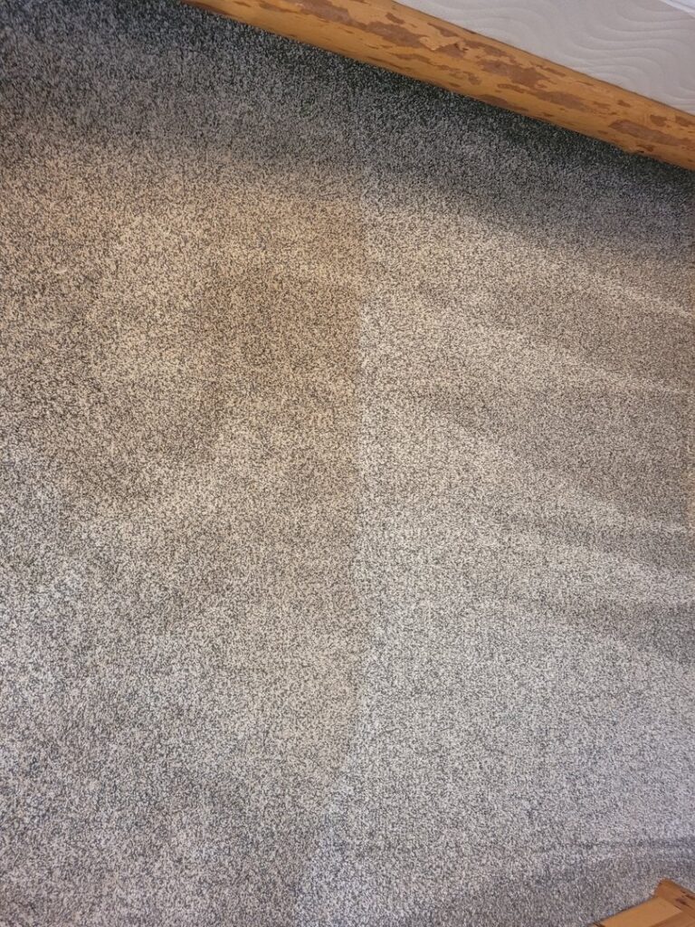 A freshly cleaned gray carpet with distinct cleaning lines by Mr. Suds Carpet Cleaning LLC in Coeur d'Alene, ID.