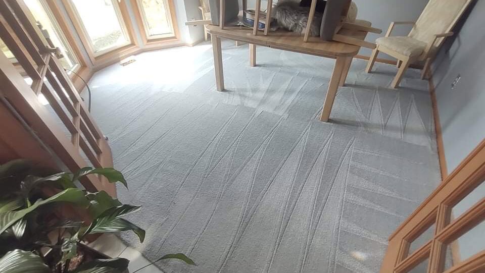 A freshly cleaned grey carpet with distinct cleaning lines in a living room by Dry Green Cleaning in Detroit, MI.