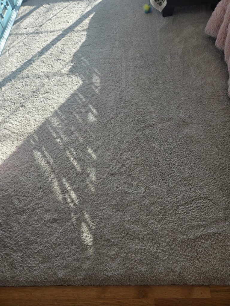 A freshly cleaned, soft grey carpet illuminated by sunlight, demonstrating quality work by North Colorado Kwik Dry Total Cleaning in Johnstown, CO.