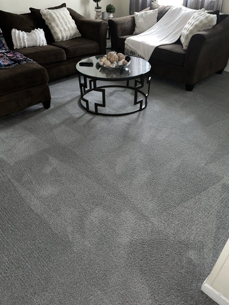 A freshly cleaned grey living room carpet with visible vacuum lines by Fiber Dry Carpet & Upholstery Cleaning in Dayton, OH.