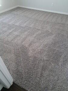 A freshly cleaned grey plush carpet in a residential room, demonstrating the quality service of All-Star Carpet Cleaning in Dallas, TX.